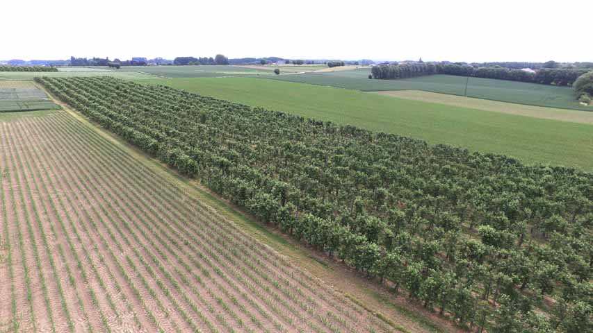 Aerial DesignMaker.be - Visuele inspectie